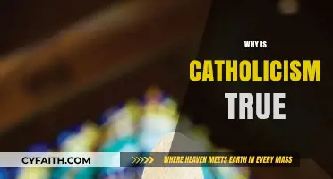 Why Catholicism Stands as the True Faith: A Comprehensive Exploration