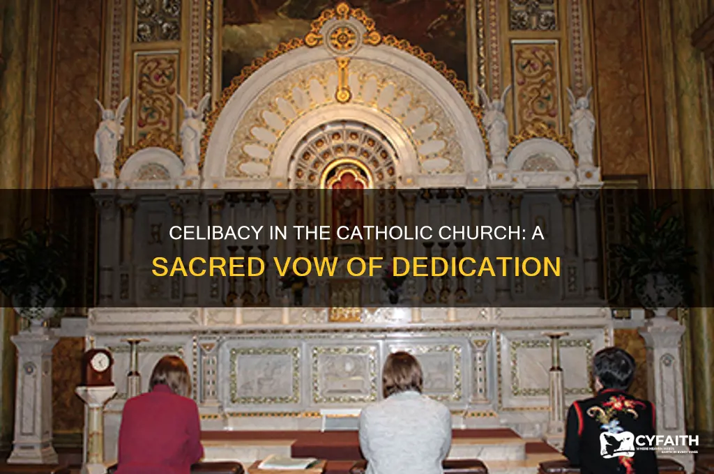 why is celibacy important in the catholic churchchurch