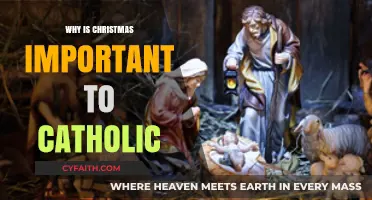 Why Christmas Holds Deep Significance in Catholic Faith and Tradition