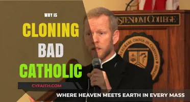Cloning and Catholic Ethics: Moral Concerns and Human Dignity Explored
