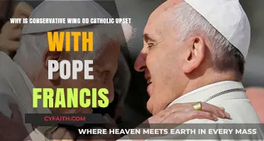 Pope Francis' Progressive Reforms Spark Catholic Conservative Backlash