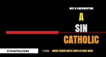 Contraception and Catholic Morality: Understanding the Church's Teachings