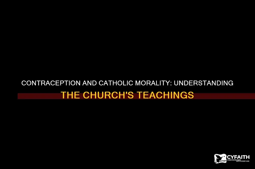 why is contraception a sin catholic