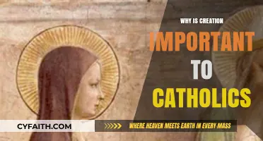 Creation's Role in Catholic Faith: Understanding Its Sacred Significance