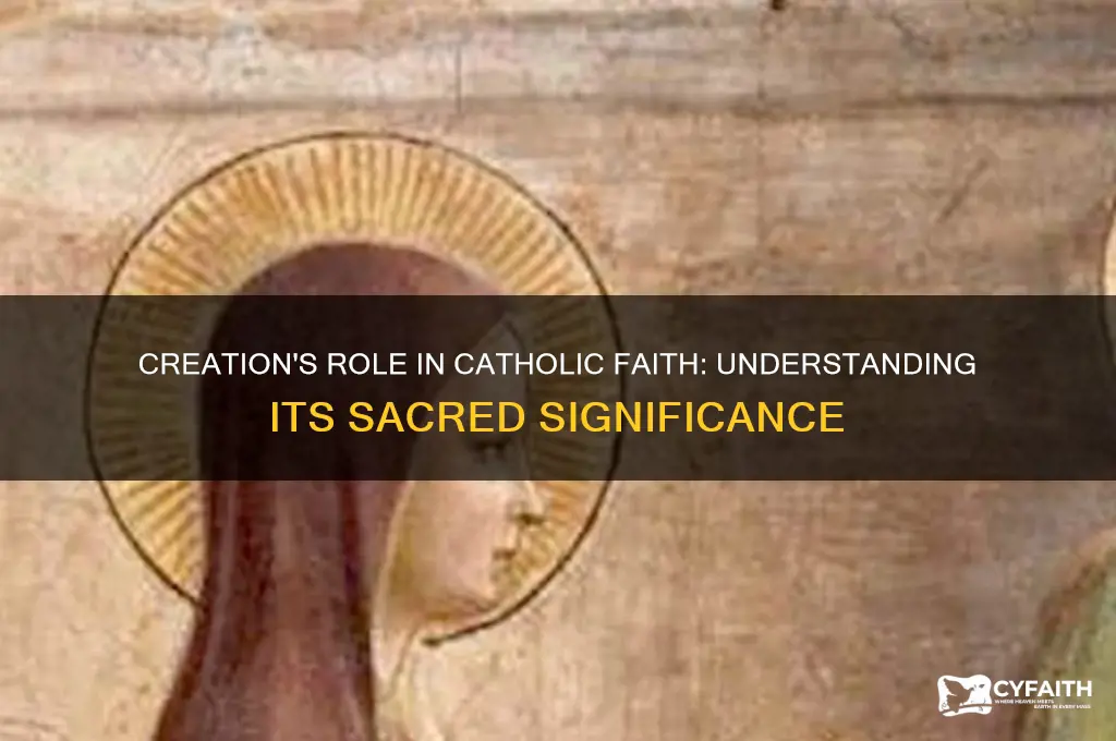 why is creation important to catholics