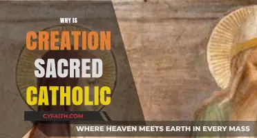 Creation's Sanctity: Exploring the Sacred Catholic Perspective on God's Work