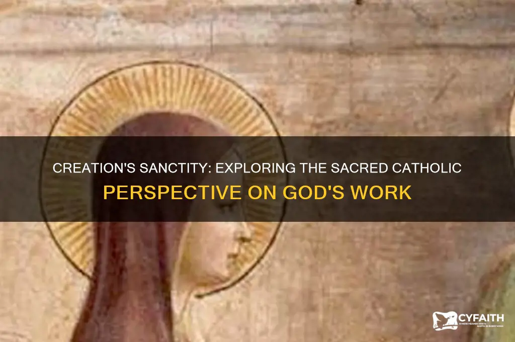 why is creation sacred catholic