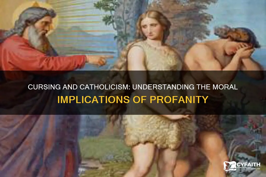 why is cursing bad catholic