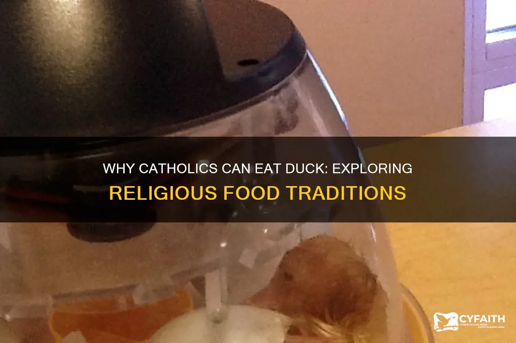 why is duck ok for catholics to eat