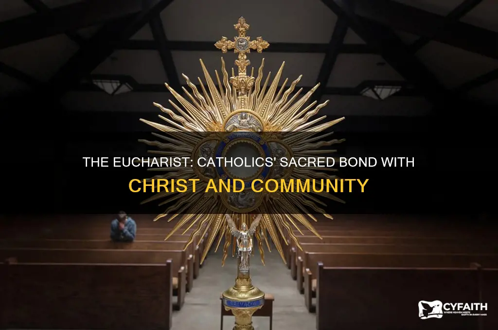 why is eucharist important to catholics