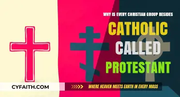 Exploring the Historical Divide: Protestant vs. Catholic Christianity