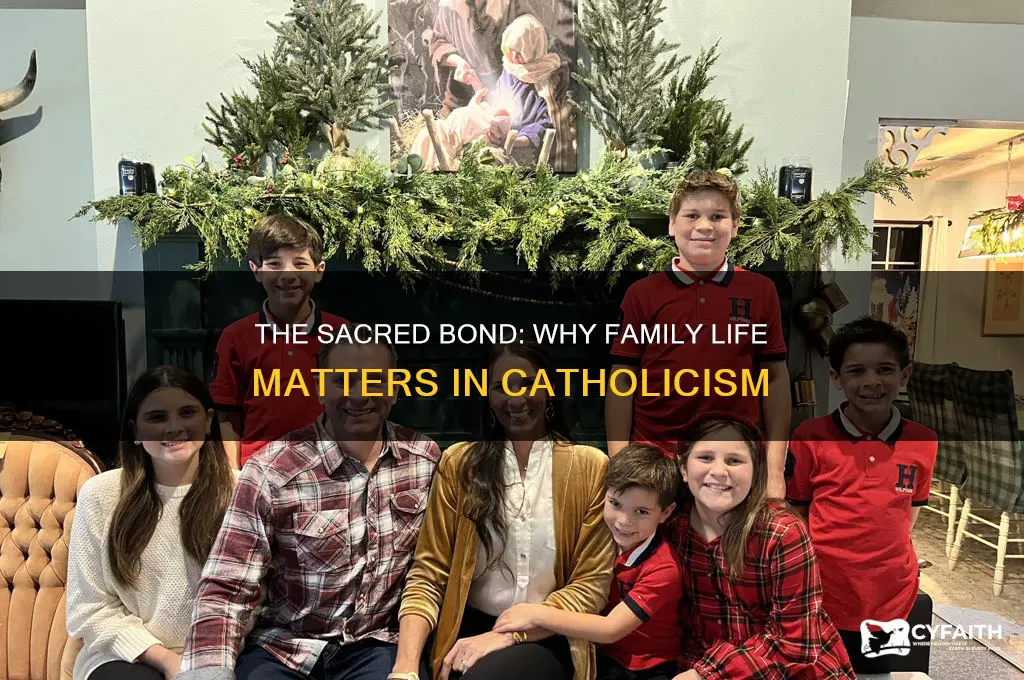 why is family life important for catholics
