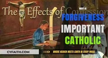 The Catholic Path to Healing: Why Forgiveness is Essential