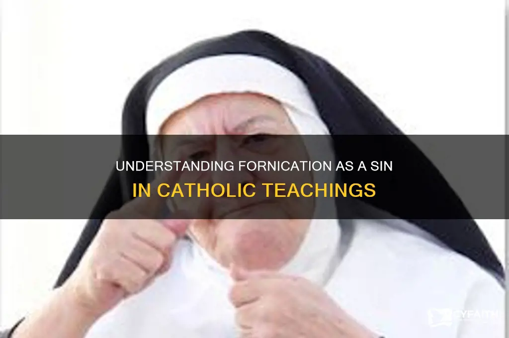 why is fornication a sin catholic