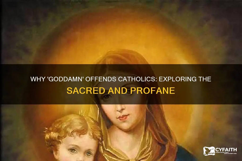 why is goddamn offensive catholic answers