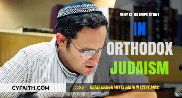 The Significance of H3 in Orthodox Jewish Tradition and Practice