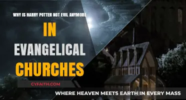 From Dark to Light: Harry Potter's Shift in Evangelical Perception