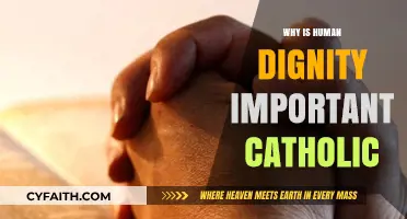 Upholding Human Dignity: A Catholic Perspective on Its Sacred Importance