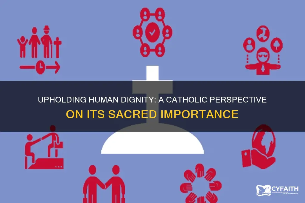 why is human dignity important catholic