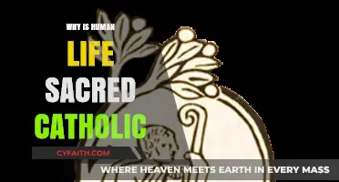 The Sacredness of Human Life: A Catholic Perspective Explained