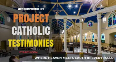 Catholic Testimonies: Transforming Lives Through Faith and Purposeful Projects
