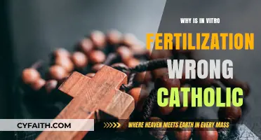 In Vitro Fertilization: A Catholic Perspective on Ethical Concerns