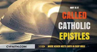 Understanding the Origins of the Catholic Epistles' Name