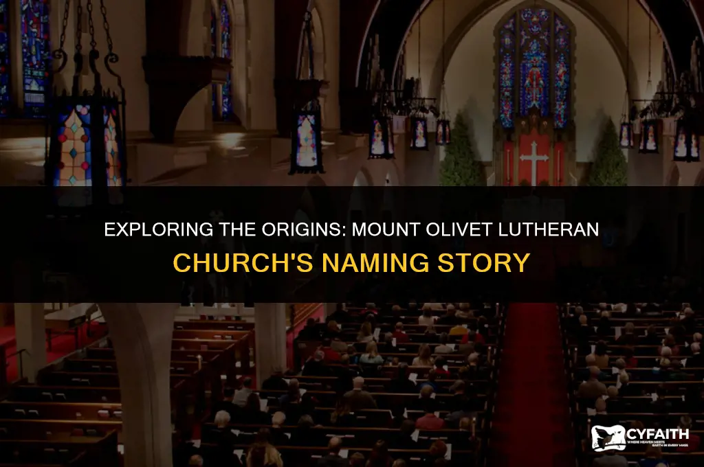 why is it called mount olivet lutheran