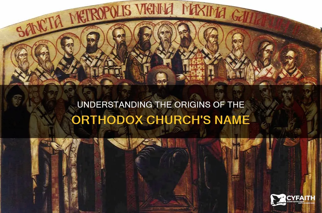 why is it called orthodox church