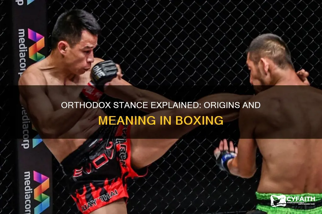 why is it called orthodox stance