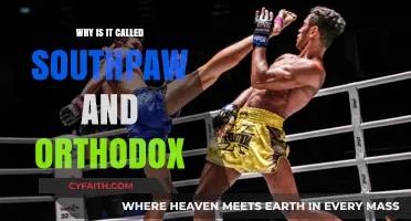 Southpaw vs. Orthodox: Unraveling Boxing's Stance Terminology Origins