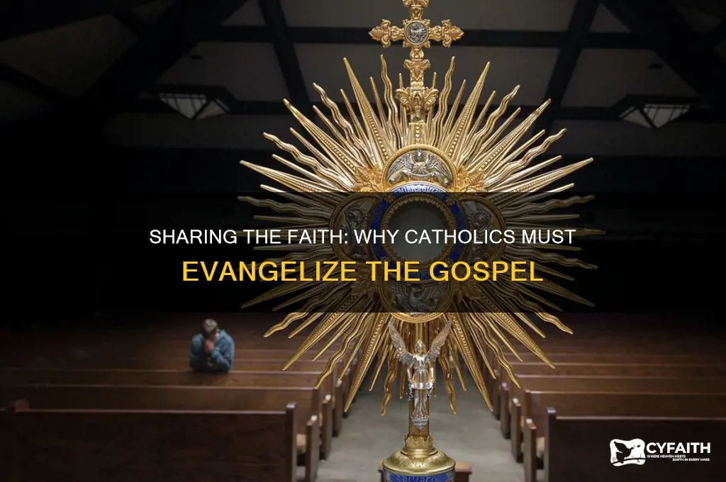 why is it important as catholics to evangelize the gospel