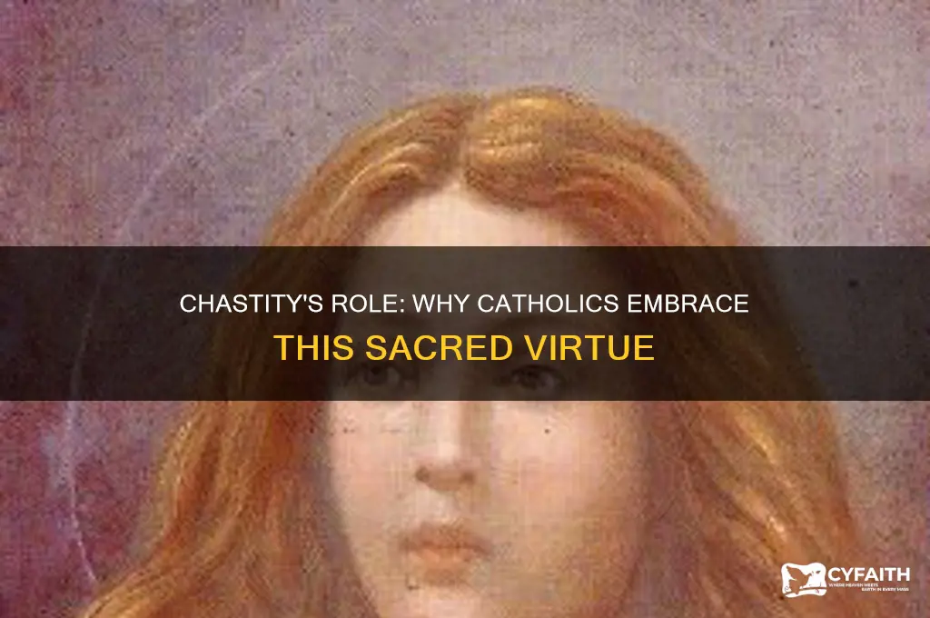 why is it important for catholics to be chaste