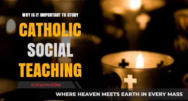 Understanding Catholic Social Teaching: A Path to Justice and Compassion