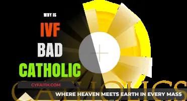 IVF and Catholic Ethics: Exploring Moral Concerns and Alternatives