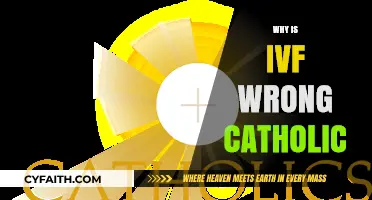 IVF and Catholic Ethics: Exploring Moral Concerns and Alternatives