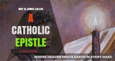 Understanding James: The Catholic Epistle's Purpose and Significance