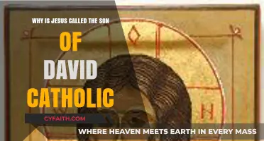 Why Jesus is Called the Son of David in Catholic Tradition