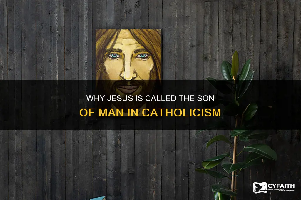 why is jesus called the son of man catholic