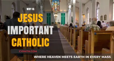 Why Jesus is Central to Catholic Faith and Identity