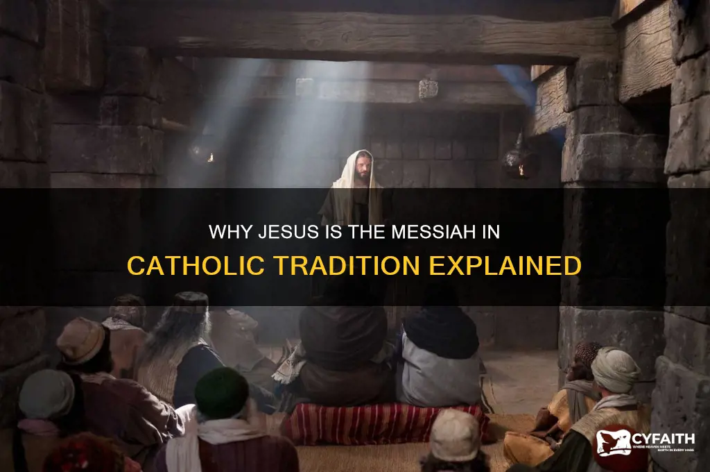 why is jesus the messiah catholic