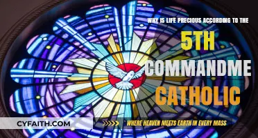 Life's Sanctity: The 5th Commandment's Catholic Perspective on Its Value