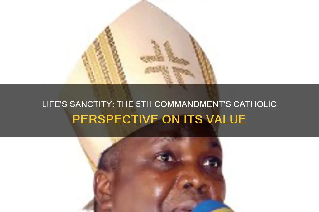 why is life precious according to the 5th commandment catholic