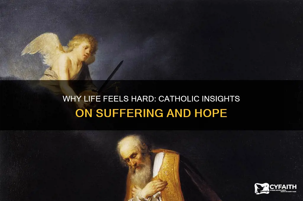 why is life so hard catholic