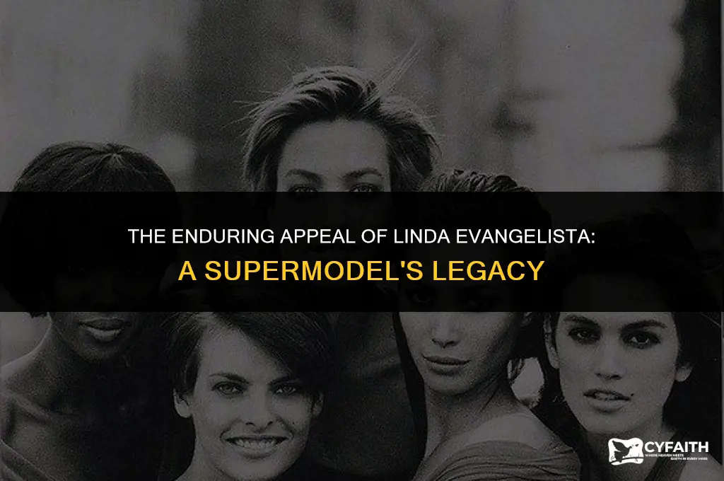 why is linda evangelista so popular
