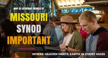 Understanding the Significance of the Lutheran Church-Missouri Synod