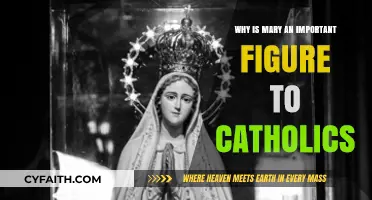 Mary's Role: Why Catholics Revere Her as a Spiritual Guide