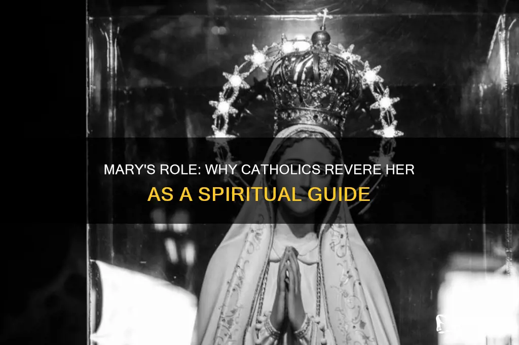 why is mary an important figure to catholics