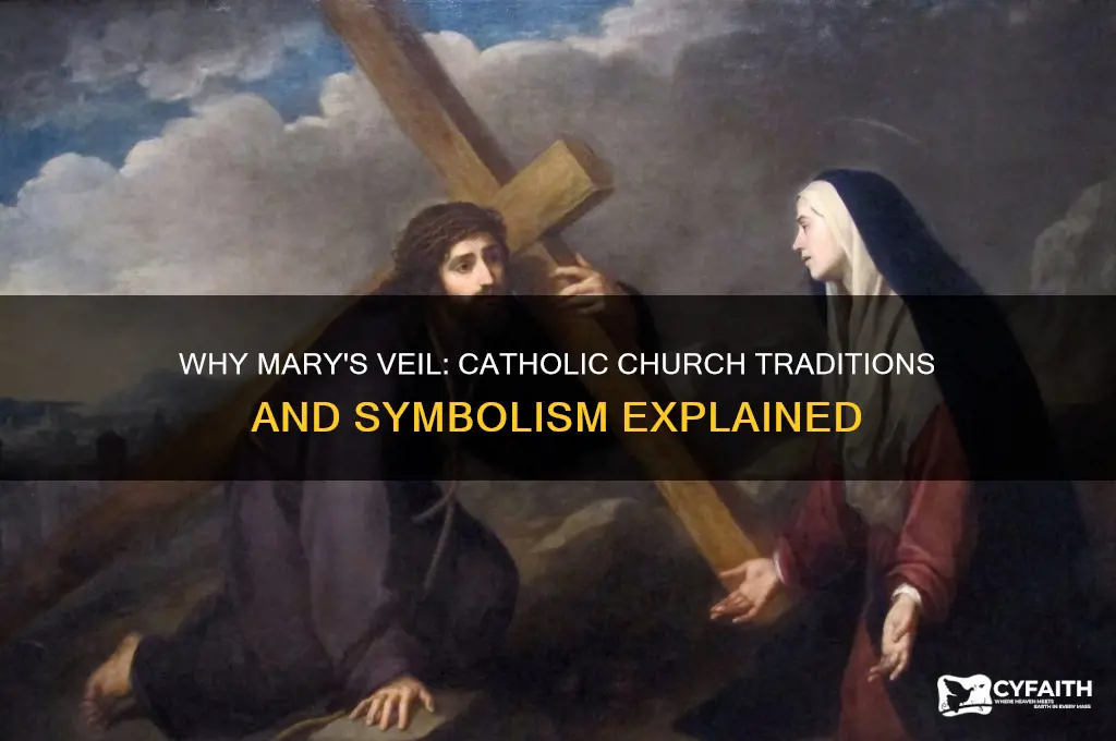 why is mary covered in catholic chirch