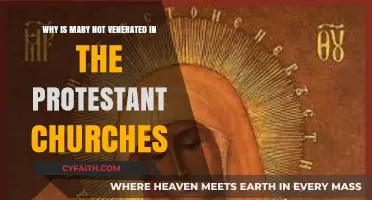 Understanding Protestant Perspectives on Mary: A Theological Exploration